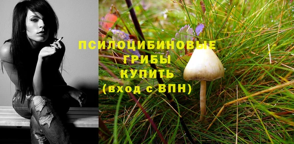 амф Заводоуковск